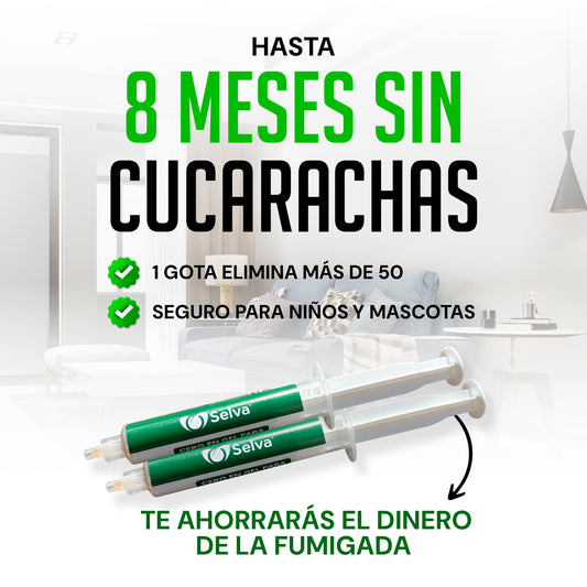 Selva: Cebo para eliminar cucarachas desde la ¨raíz¨ TT