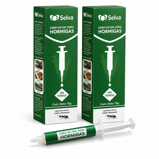 Kit de Hormigas Selva